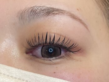 ブリス(BLISS)/ダブルフラットラッシュ