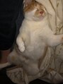 アイアンド(i&)&nbsp;実家では猫を飼ってます(^^)動物大好き(^^)