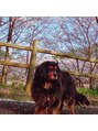 カノン(KANON) KANON私の愛犬がこのお店の名前となりました♪