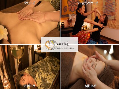チャンティック(cantik)の写真