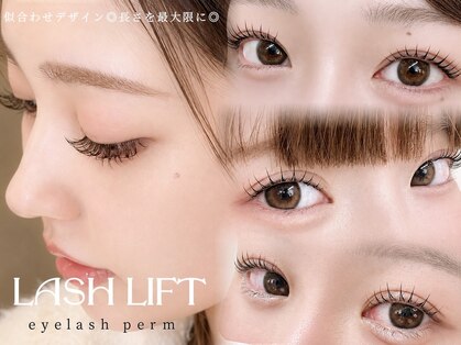 ミチ(michi)の写真