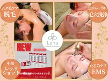 ラーナ(Lana)