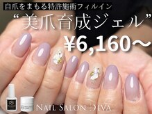 ディーバ 相模大野店(Diva)