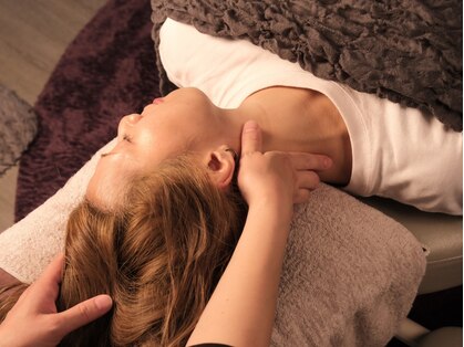 パピヨン(papillon)の写真