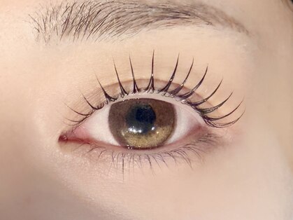 ジョリ(Joli.)の写真