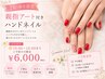 【7.8月平日10時～15時限定】ポイントアート付きハンドネイル￥ 6000