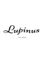 ルピナス(Lupinus)/Lupinus ルピナス