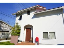 ルピナス(Lupinus)/外観