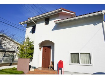 ルピナス(Lupinus)/外観