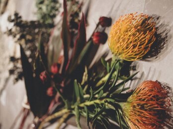 ピンクッション 平尾(PINKSHION)/