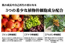四季ビューティー(四季beauty)の雰囲気（停滞していた老化角質が剥がれ落ち肌の活性力を高めます。）