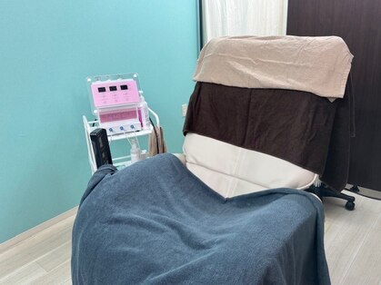 ガジュマルの写真