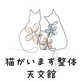 猫がいます整体