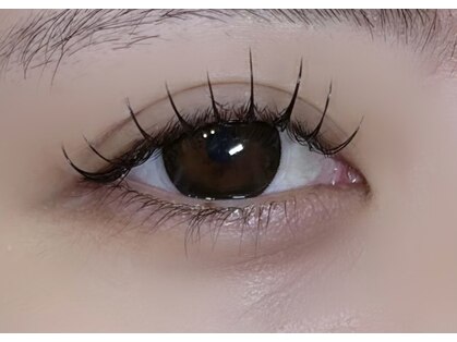 ラソ(Lazo)の写真