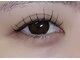 ラソ(Lazo)の写真
