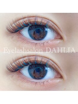 ダリア(DAHLIA)/ボリュームラッシュ