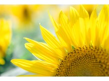 ミーティア(Meteor)/