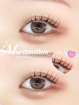 ルーフアイ(ROOF EYE)/ROOF EYE(ルーフ アイ)