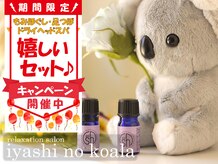 癒しのコアラ 一条 大宮店