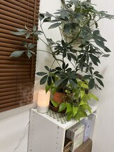 東神奈川整体院 バランス ケア カイロプラクティック(Balance Care)/アロマ