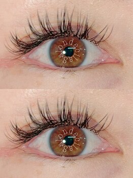 サロン ド シル(Salon de cils)/フラットラッシュ