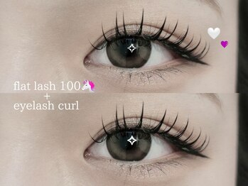 プラス ファースト(Plus 1st)/フラットラッシュ100本by kimura