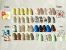 5月季節の定額デザイン