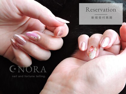 ノラ(NORA)の写真
