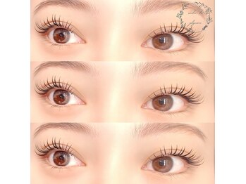 サロンドグリシーヌ 大塚(salon de glycine)/《パリバインド60束》大塚