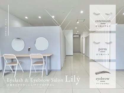 リリー(Lily)の写真