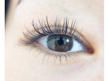 リノ(Lino)/カラーバインド80set