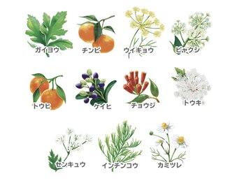 ヨサパーク エクラエム(YOSAPARK eclat.emu)/ハーブは特許取得のオリジナル♪