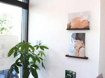 蓮子堂鍼灸整体院/美容メニューも人気です◎