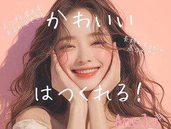 アネラ 柏(Anela)