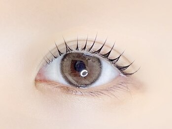 リノ カヒリ アイラッシュ(Lino kahili)/ラッシュリフト