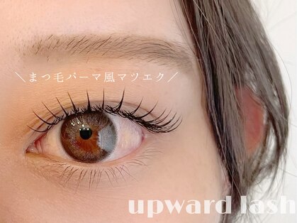 ライム(rime)の写真