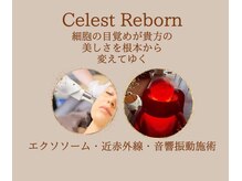 ニコ(Nico.)/エクソソーム専門店