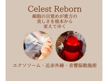 ニコ(Nico.)/エクソソーム専門店