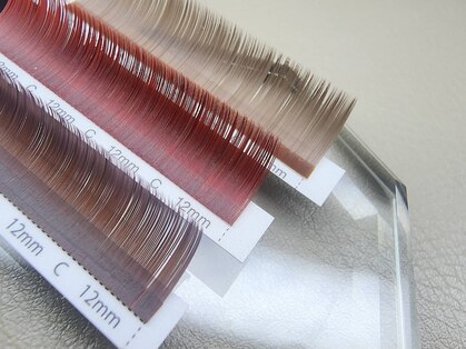 シエナ(ciena)の写真