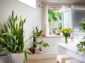 トロワサンク 片瀬山 西鎌倉/テラスを見ながらカウンセリング