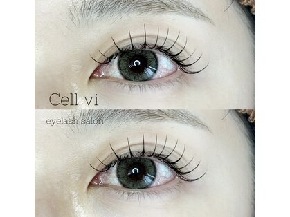 セルヴィ(Cell vi)の写真