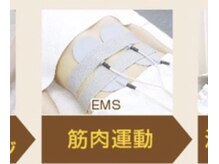 シャイニング(shining)/EMS