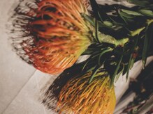 ピンクッション 平尾(PINKSHION)/