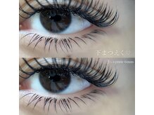 アモリア(AMORIA)/上下フラットつけ放題