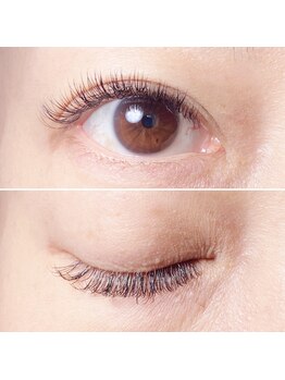 アイラッシュサロン リリィ(EYELASH SALON Lily)/フラットラッシュ2D