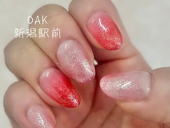 オーク 新潟駅前(OAK)/ラメグラデーション