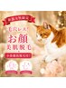 【新規女性】毛穴レス！お顔美肌脱毛＋小鼻徹底脱毛¥11800→￥7200