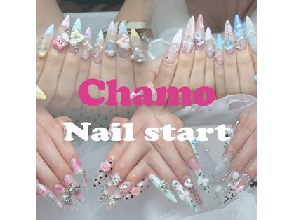 チャモ(Chamo)の写真