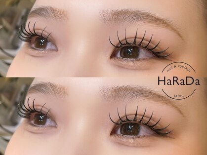 ハラダ(HaRaDa)の写真