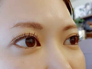 エフ(F...)/【マツエク】フラットラッシュ